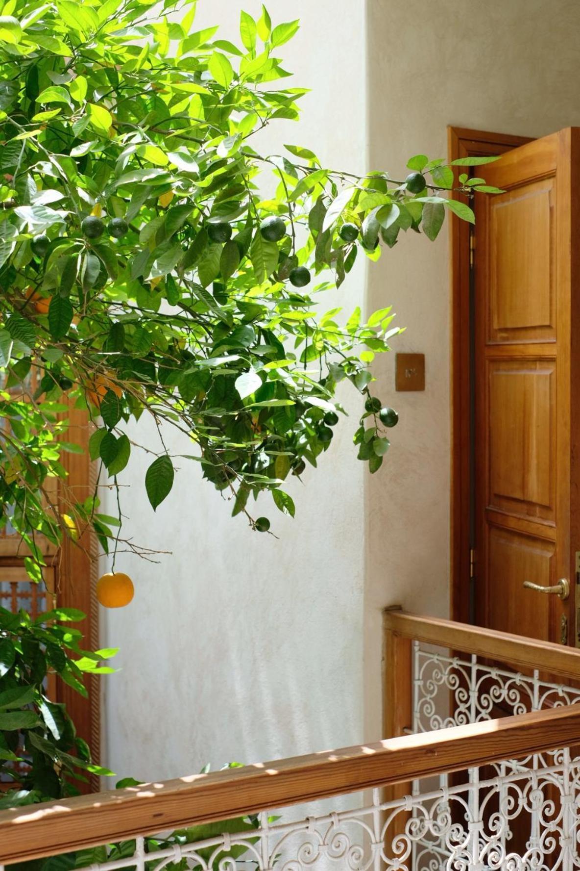 L'atelier Riad Marraquexe