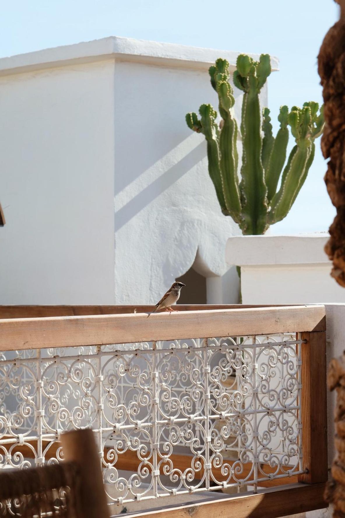 L'atelier Riad Marraquexe